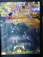 bug1.jpg